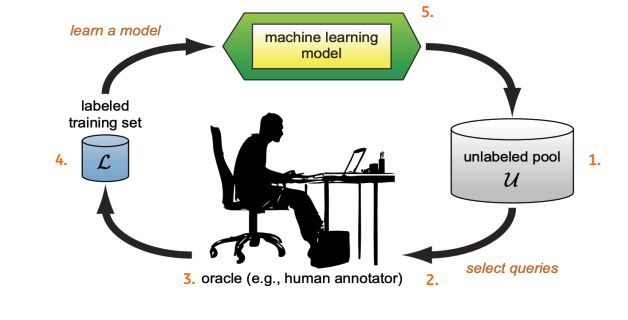 Active Learning Process